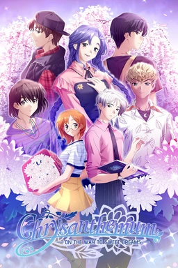 Хризантема: на пути к сладким грёзам