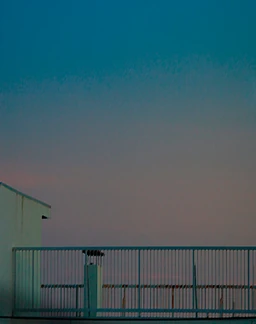 Крыша для двоих