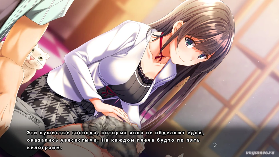 Скриншот игры Imouto to Kanojo - Sorezore no Sentaku №4