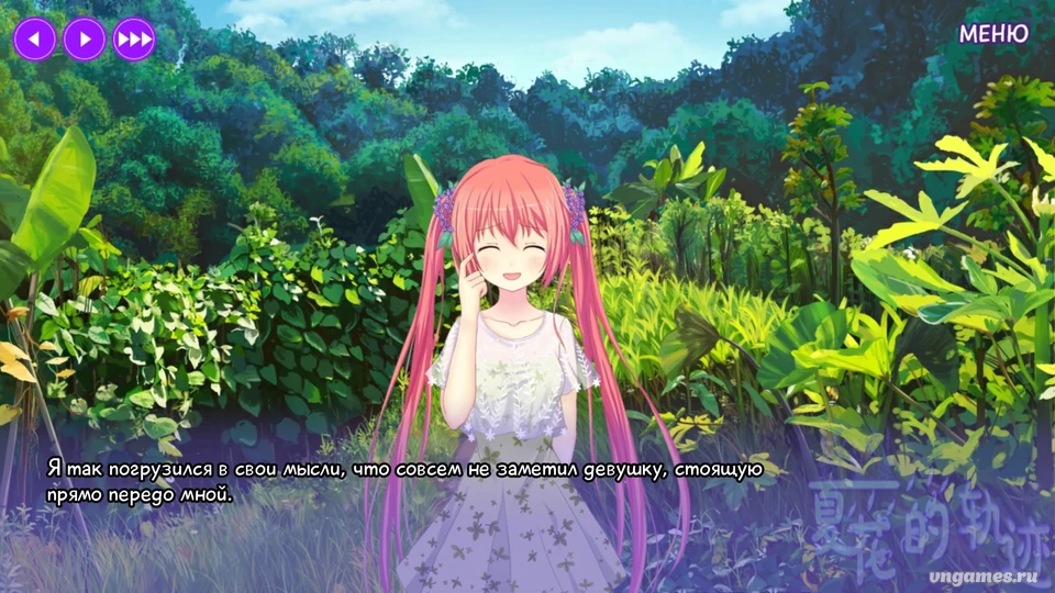 Скриншот игры Trajectory of summer flower №2