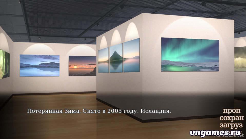 Скриншот игры Vision of Aurora Borealis №1
