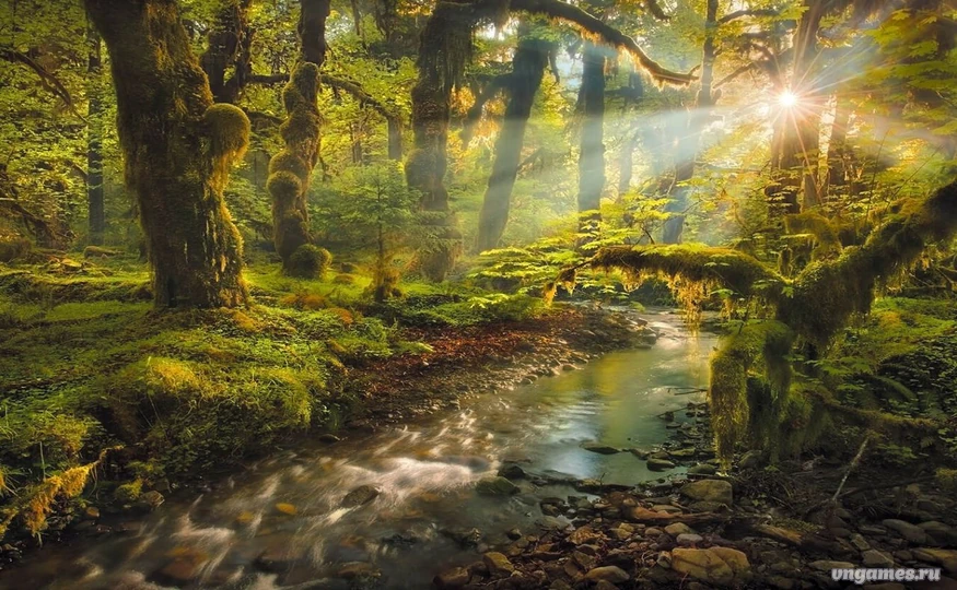 Скриншот игры War in the Swamp №2